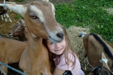  Fun For the Whole Family: Open Farm Week 2019