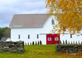 Brook Farm Vineyards