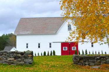 Brook Farm Vineyards