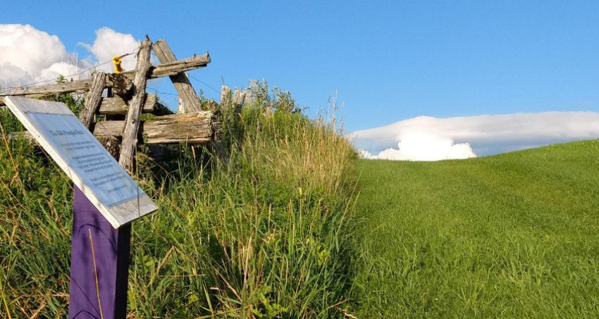 Lavender Floral Water — Lavender Essentials of Vermont