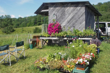 Berry Creek Farm