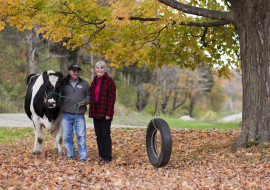 Liberty Hill Farmstay and Bed & Breakfast