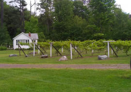 Autumn Mountain Winery