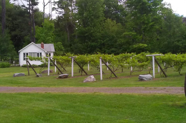 Autumn Mountain Winery