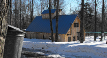 Maple & Food Trail of Northeastern Vermont